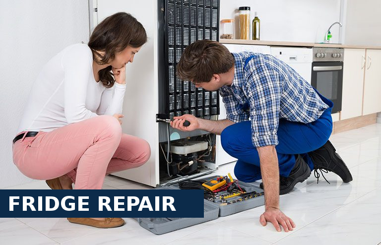 Fridge Repair Totteridge